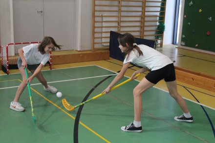 Rywalizacja hokejowa