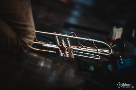 Dni Wisły: koncert zespołów Redlin i Dikanda