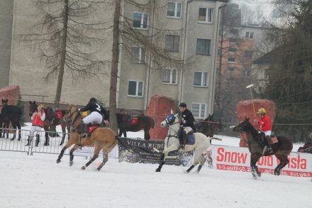 Zawodnicy podczas meczu