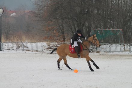 Zawodnicy podczas meczu