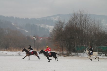 Zawodnicy podczas meczu