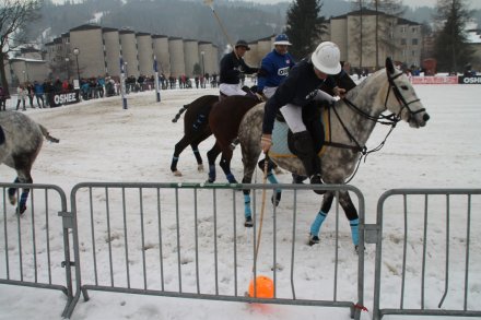Zawodnicy podczas meczu