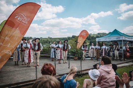 Wiślański wygón łowiec. Fot. Daniel Franek - Okiem Fotoreportera.