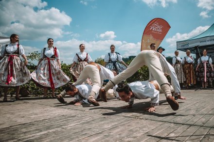 Wiślański wygón łowiec. Fot. Daniel Franek - Okiem Fotoreportera.