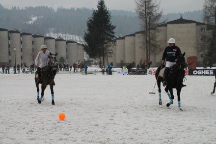 Zawodnicy podczas meczu