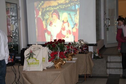 Podsumowanie projektu "Mistrzowskie Koszułki"