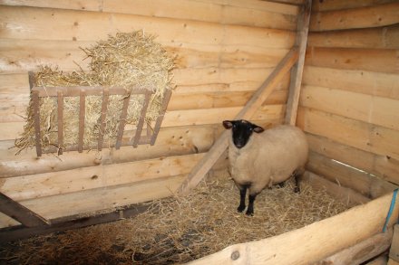 Jarmark Świąteczny