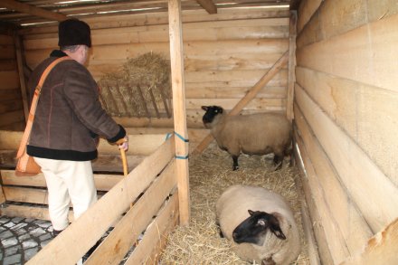 Jarmark Świąteczny