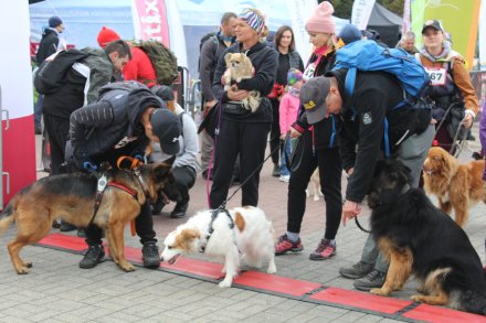 dogtrekking_2022