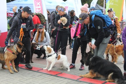 dogtrekking_2022