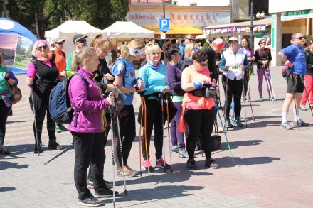 Pierwszomajowy Marsz Nordic Walking