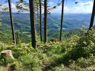 Widok sprzed jaskini