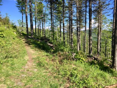 Ścieżka prowadząca do jaskini