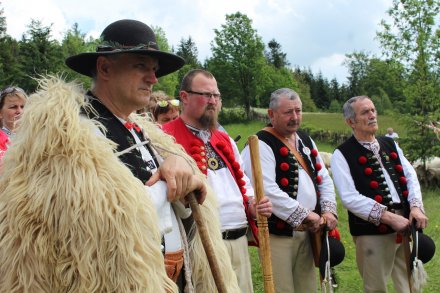 Wiślańscy i istebniańscy owczorze