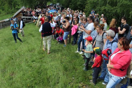 Obrzęd mieszania owiec