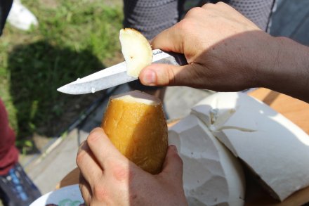 Degustacja owczych serów