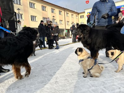 31.Finał WOŚP w Wiśle
