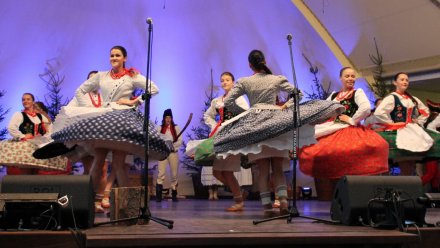 Fragment występu grupy "Ziemia Żywiecka"