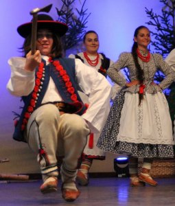 Fragment występu grupy "Ziemia Żywiecka"