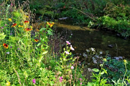 Obecny teren po kwiatowej modernizacji