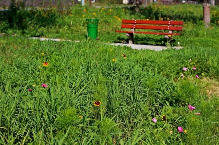 Obecny teren po kwiatowej modernizacji