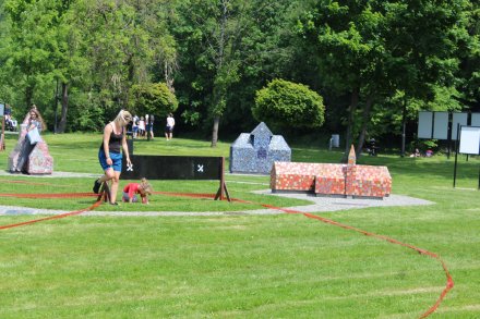 Przeszkoda w Zabytkowym Parku Przygód