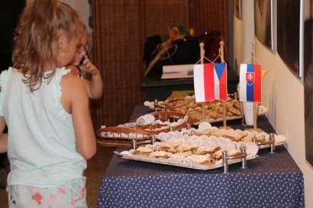 Wernisaż fotografii piktorialnej