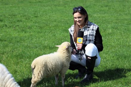 Prowadząca Diana Kautz z owieczką