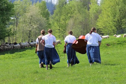 Kapela góralska Wisła przed nagraniami