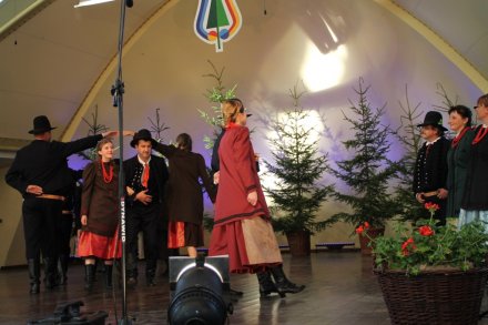 Występy w Amfiteatrze