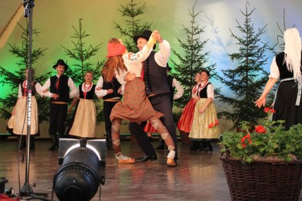 Występy w Amfiteatrze