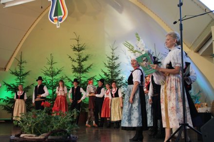 Występy w Amfiteatrze