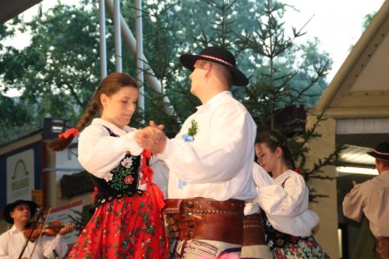 Występy w Amfiteatrze