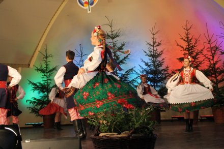 Występy w Amfiteatrze