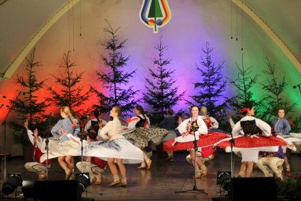 Występy w Amfiteatrze