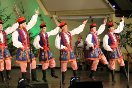 Występy w Amfiteatrze