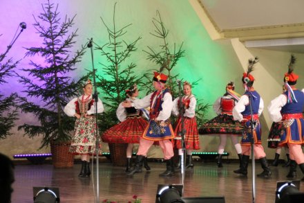 Występy w Amfiteatrze