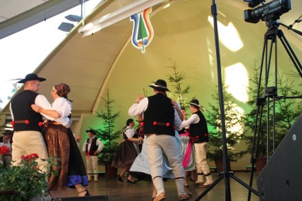 Występy w Amfiteatrze