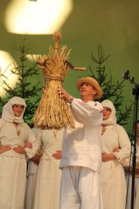 Występy w Amfiteatrze