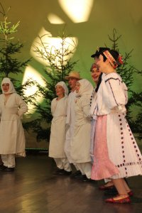 Występy w Amfiteatrze