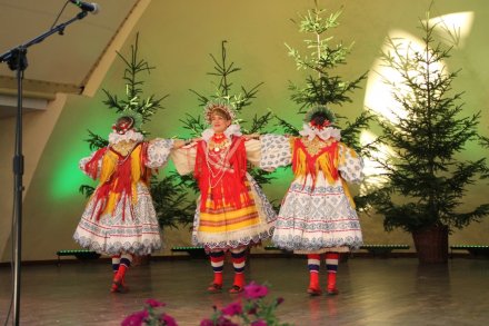 Występy w Amfiteatrze