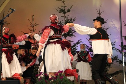 Występy w Amfiteatrze