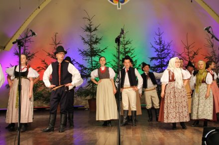 Występy w Amfiteatrze