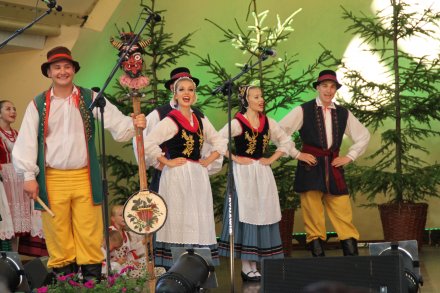 Występy konkursowe MSF