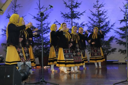 Występy konkursowe MSF