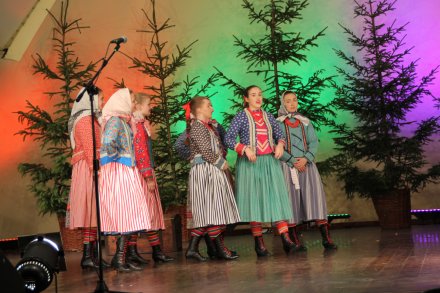 Występy konkursowe MSF