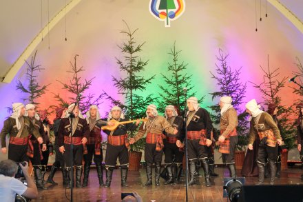 Występy konkursowe MSF