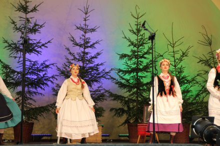 Występy konkursowe MSF