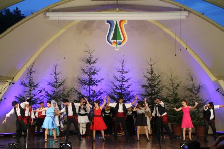 Występy konkursowe MSF