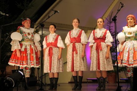 Występy konkursowe MSF